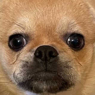 k_mustt's profile picture. subway yum !