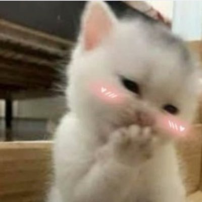 TruongThinh1231's profile picture.