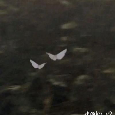 Gasherii91's profile picture. 