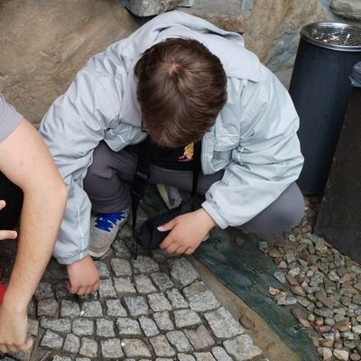 mmate1337's profile picture. 