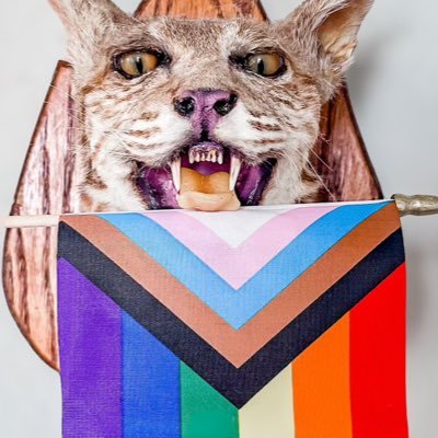 mungosmummy's profile picture. Born and raised Texan. Live in the south. Hunt, Fish. I love stuff like dogs, baseball, business, economics, trash TV. Mother of 7 grown children. Non-tradwife.