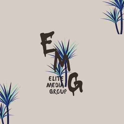 EliteMedia2024's profile picture. Elite Media Group is dedicated to crafting impactful & results-driven digital experiences that empower our clients to thrive in the evolving digital sphere.