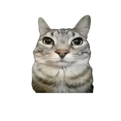 Ektitor3's profile picture. 