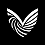 Volara Profile