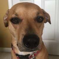 Evan Deer (@novidjabsever) 's Twitter Profile Photo Evan Deer (@novidjabsever) 's Twitter Profile Photo