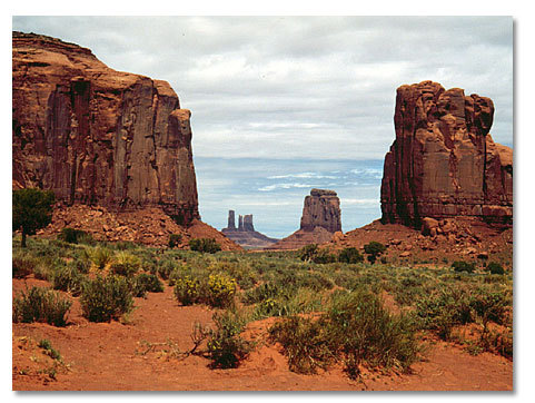 The_Hartens's profile picture. We are a cheese-loving people.