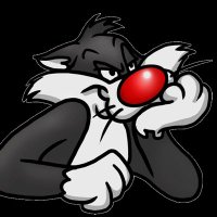 Rach (@rachycatmum) 's Twitter Profile