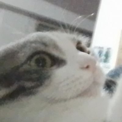 Holiiis a todos Bienvenido bienvenida mi canal, en este canal subire edits mascotas, personajes dibujos, memes, espero que le guste, seguime en mi canal.