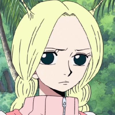 conisdaily's profile picture. daily pics of conis from #ONEPIECE ! | admin: @blacklegboa