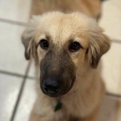 mary_strum36329's profile picture. The future looks bright. I voted for Trump. I ignore all DMs. I married my best friend.