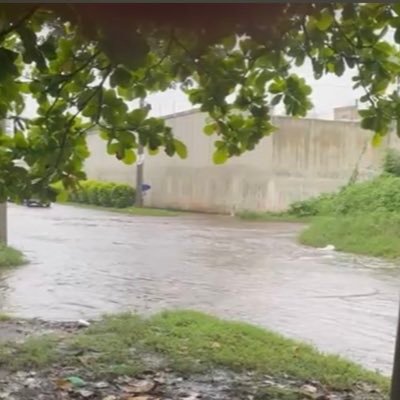 EnriqueReyesQ's profile picture. 💉🔬🧪