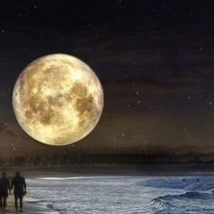 Majedsh1400's profile picture. 