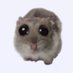 onion (@ughnyun) Twitter profile photo