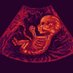 Dank Pro-Life Memes (@dankprolifememe) Twitter profile photo Dank Pro-Life Memes (@dankprolifememe) Twitter profile photo