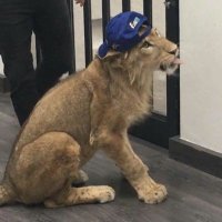 ِ (@iit8jx) Twitter profile photo