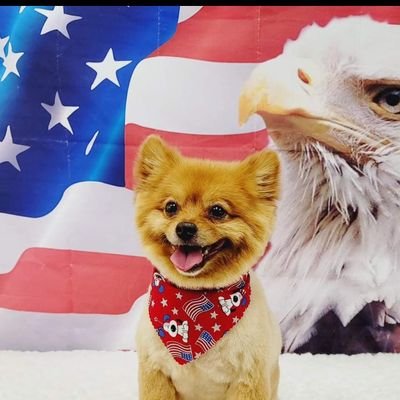 ZacrisSparks's profile picture. I'm an America 1st kinda gal who likes to read, learn, grow, and share. United We Stand.           

🇺🇸 MAGA🤝MAHA 🇺🇸              

 No War 🚫 No DM's 🚫
