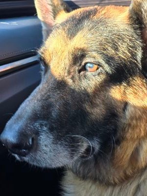 alex27631367476's profile picture. Proud USN. Believe in upholding the Constitution. As an investor, I'm passionate about building wealth and helping others achieve financial success.