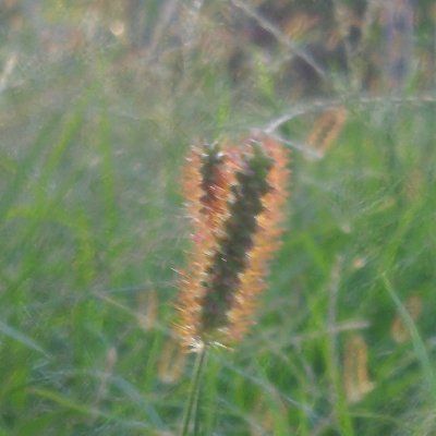 x_tamura_x's profile picture. around40 ひきこもり。社会復帰めざしてプログラミングを勉強中
Paiza:S/CodinGame:level10/Kaggle:銀2(ヒューリスティック問題)

#駆け出しエンジニア