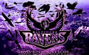 Baltimore Ravens fan. Let's go Ravens its your year