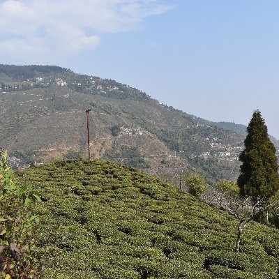 Upama777's profile picture. Be Truthful to Yourself.