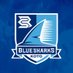 清水建設江東ブルーシャークス (@bluesharks_2020) Twitter profile photo 清水建設江東ブルーシャークス (@bluesharks_2020) Twitter profile photo