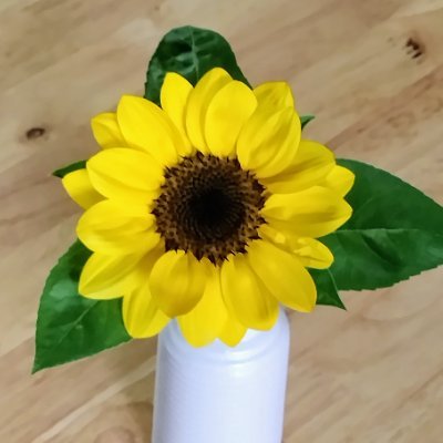 しめさばさいこうさんのプロフィール画像