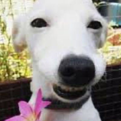 :3さんのプロフィール画像