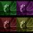 ternas's profile image