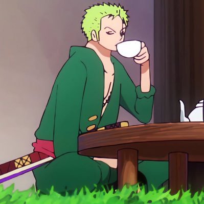 27 - Ace - mostly zoro stuff, this is a multi ship acc btw—not🫵spoiler free, frequently nsfw ✨ currently rereading one piece @/WCI