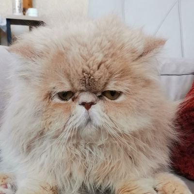 erhnrdn's profile picture. 