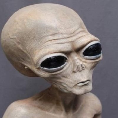 Australien666's profile picture. 