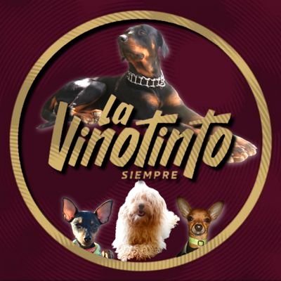 Bexymar's profile picture. Mamá de 9 🐶🐶🐶🐶🐱🐱🐱🐱🐱
Orgullosamente MAGALLANERA, VINOTINTO,    FALCONIANA y MÉDICO VETERINARIO, no les llevo nada!! ☺
