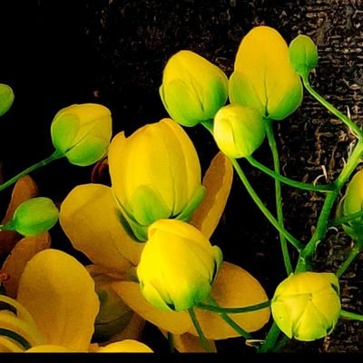 ratnani1958's profile picture. STORY WRITING AND PHOTOGRAPHY