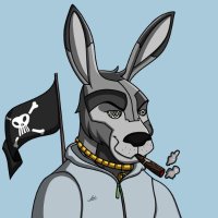 Xplit💊 (@0xplit) 's Twitter Profile