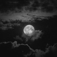 Fatma🐘 (@fatmakrcsm) Twitter profile photo