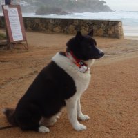 Jackoval (@jacko3v) 's Twitter Profile