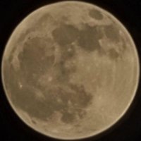 DexDexter (@dexdexter007) 's Twitter Profile