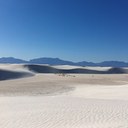 Liz Reeves - @liz_reeves - Twitter