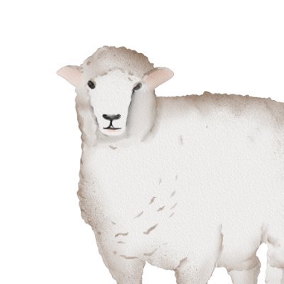 dailyweb3's profile picture. Web3企業で働く”ひつじ”と申します。読むだけでweb3関連のキャッチアップを加速させるトレンド解説デイリーニュースレターを配信しています。ニュースレターの購読はこちらから 。平日毎日6:00更新です。https://t.co/PPt2G507ga