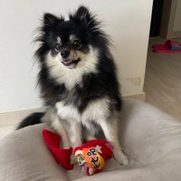 인천먼지맘🖤🤍 (@monjimum) 's Twitter Profile