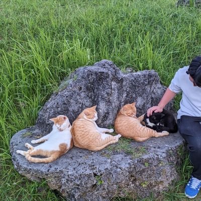 matutakeOC's profile picture. 