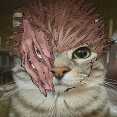 UnknownDev Profile