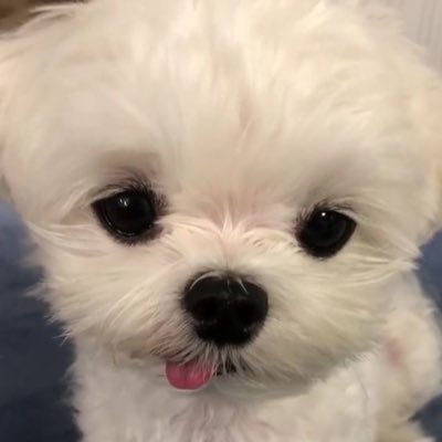 05me128's profile picture. 