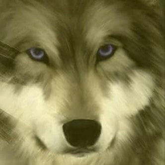 HKurt76443's profile picture. 