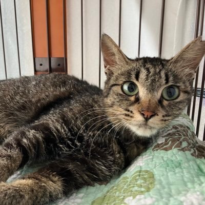 Yamasaさんのプロフィール画像