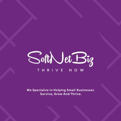 SoftNetBizSol's profile picture. Grow fast in businesses with the help of strategies & technology integration.
✨Digital Marketing
💡Web designing & development, SEO, SMM.