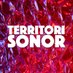 Territori Sonor (@territoriapunt) Twitter profile photo