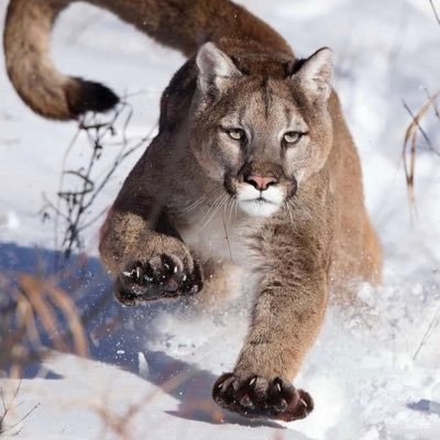 IngBratan's profile picture. I am into Blockchain Engineering, Mathematics and Low Level Engineering using C.