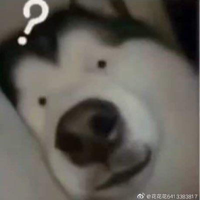 Jayzさんのプロフィール画像