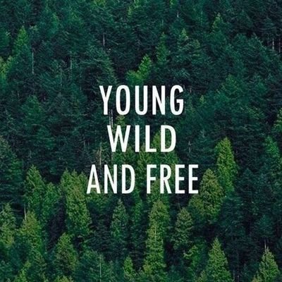 psammy0987123's profile picture. The determinator